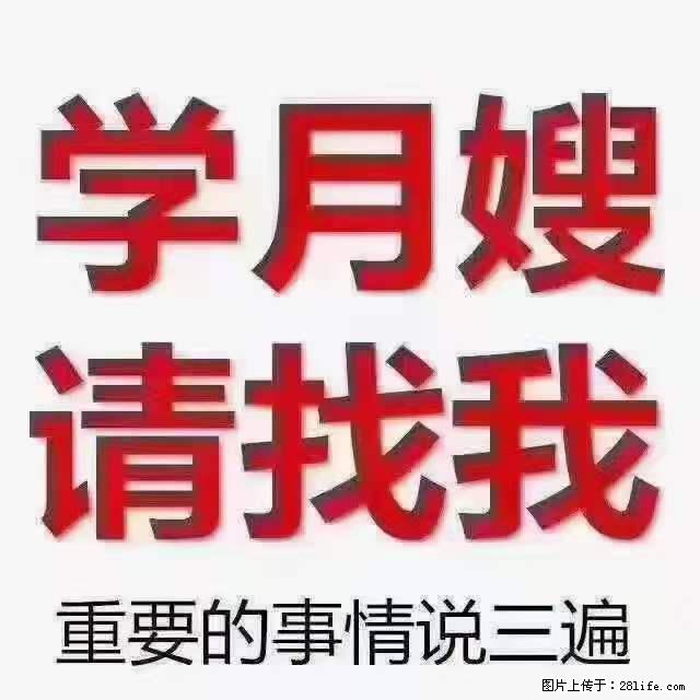 为什么要学习月嫂，育婴师？ - 其他广告 - 广告专区 - 十堰分类信息 - 十堰28生活网 shiyan.28life.com