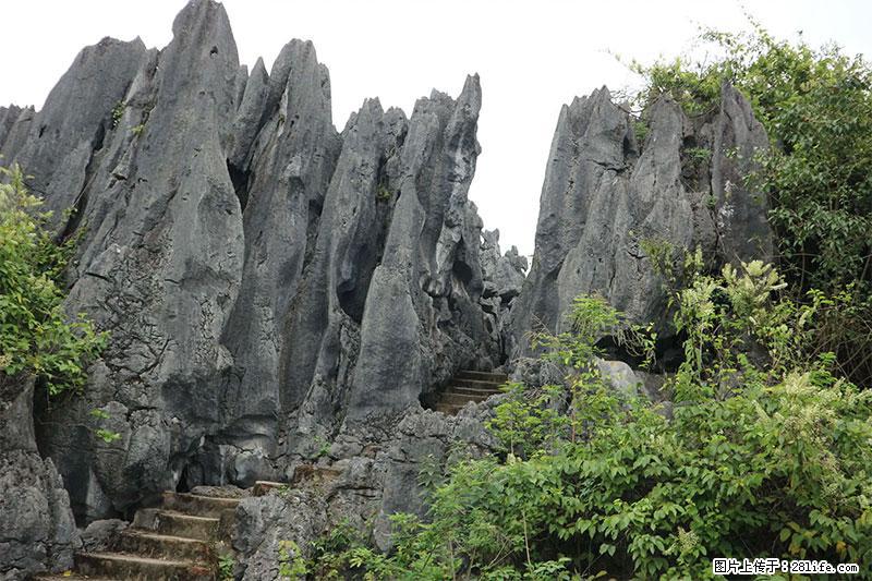 桂林旅游名城景点：灌阳文市石林 - 游山玩水 - 十堰生活社区 - 十堰28生活网 shiyan.28life.com