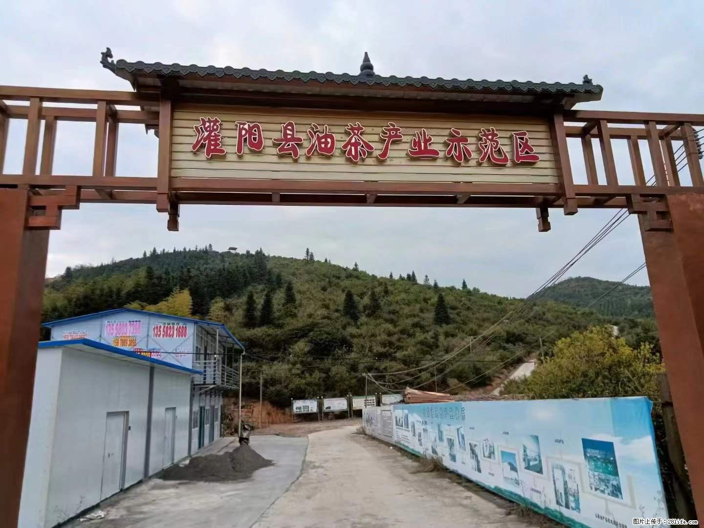 【灌阳县油茶产业示范区】一个有着充实的精神生活的人,对待身外之物自会有一种淡泊的态度 - 美食天地 - 十堰生活社区 - 十堰28生活网 shiyan.28life.com