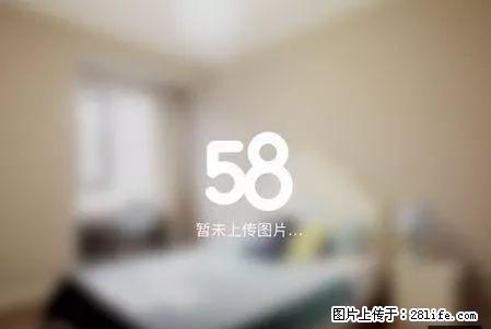 （空调暖气）江苏路阳光花园 明想双子座精致一居室家电齐全60 - 房屋出租 - 房屋租售 - 十堰分类信息 - 十堰28生活网 shiyan.28life.com