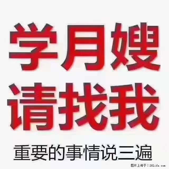 【招聘】月嫂，上海徐汇区 - 职场交流 - 十堰生活社区 - 十堰28生活网 shiyan.28life.com