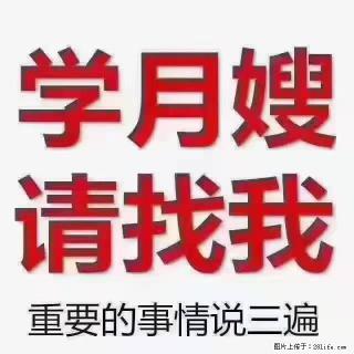 【招聘】月嫂，上海徐汇区 - 十堰28生活网 shiyan.28life.com