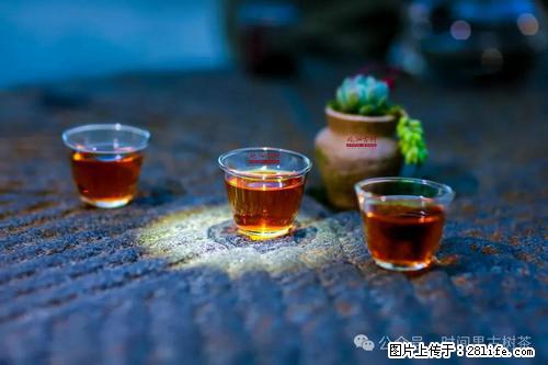 时间果百年古树2025年春红茶 - 购物交流 - 十堰生活社区 - 十堰28生活网 shiyan.28life.com