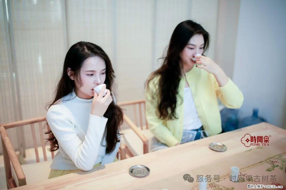 时间果百年古树龙珠普洱生茶 - 购物交流 - 十堰生活社区 - 十堰28生活网 shiyan.28life.com