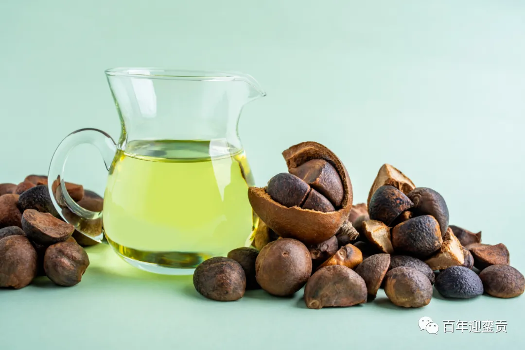 世界没有真相，只有认知，最好的食用油是中国的山茶油！ - 十堰生活资讯 - 十堰28生活网 shiyan.28life.com