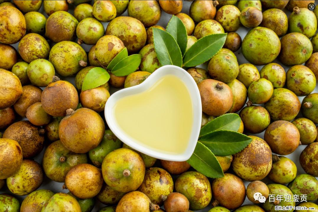 世界没有真相，只有认知，最好的食用油是中国的山茶油！ - 十堰生活资讯 - 十堰28生活网 shiyan.28life.com