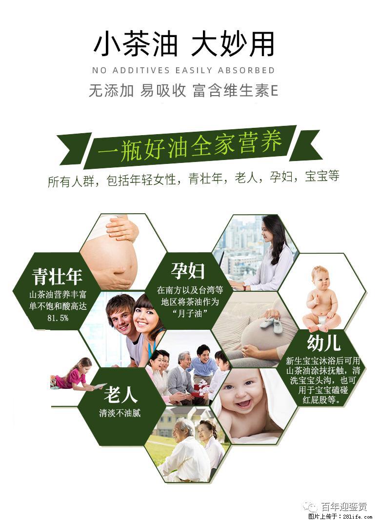 世界没有真相，只有认知，最好的食用油是中国的山茶油！ - 十堰生活资讯 - 十堰28生活网 shiyan.28life.com