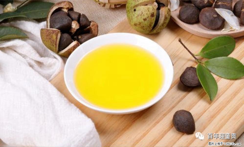 世界没有真相，只有认知，最好的食用油是中国的山茶油！ - 十堰生活资讯 - 十堰28生活网 shiyan.28life.com