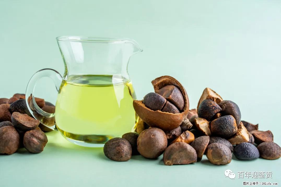世界没有真相,只有认知,最好的食用油是中国的山茶油! - 十堰生活资讯 - 十堰28生活网 shiyan.28life.com