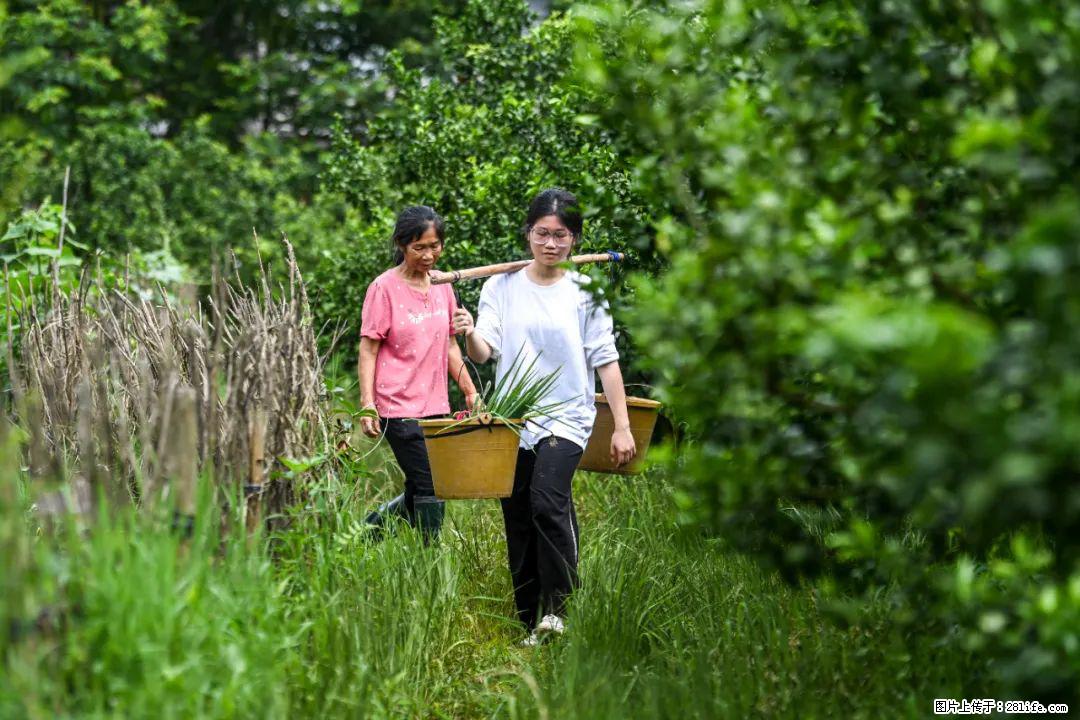 全网追的“扁担女孩”，找了一份暑假工，时薪12元 - 十堰生活资讯 - 十堰28生活网 shiyan.28life.com
