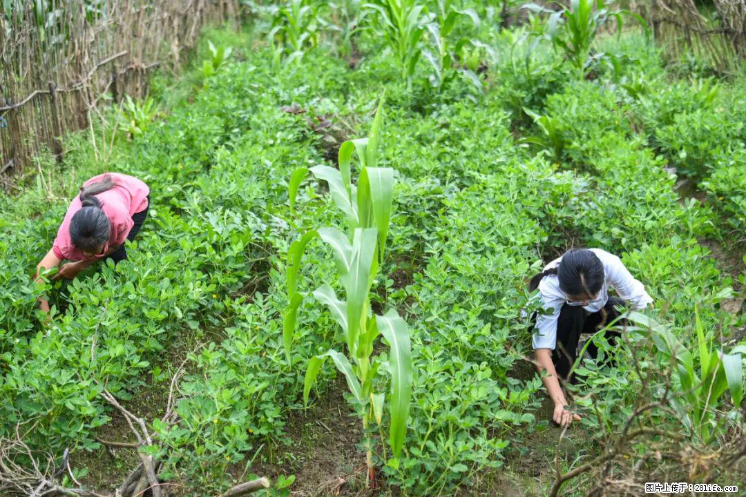 全网追的“扁担女孩”，找了一份暑假工，时薪12元 - 十堰生活资讯 - 十堰28生活网 shiyan.28life.com