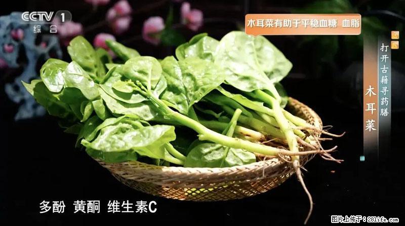 比牛奶补钙还厉害!凉血解毒、稳血糖...这菜冬天必吃,很多人却当草 - 十堰生活资讯 - 十堰28生活网 shiyan.28life.com