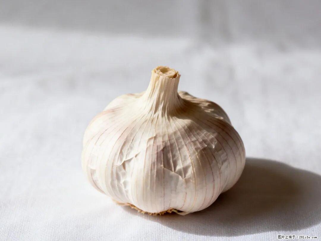 关于大蒜，除了“天然抗生素”，这4个谣言更该警惕! - 十堰生活资讯 - 十堰28生活网 shiyan.28life.com