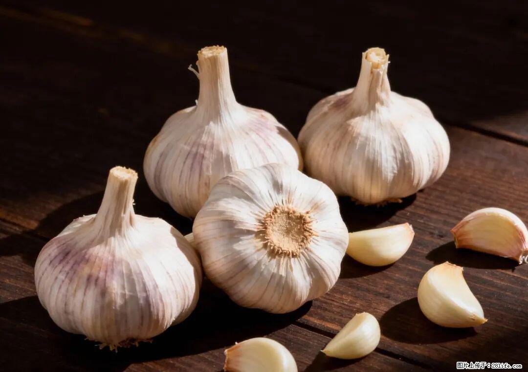 关于大蒜，除了“天然抗生素”，这4个谣言更该警惕! - 十堰生活资讯 - 十堰28生活网 shiyan.28life.com