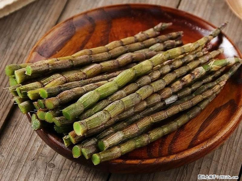 铁皮石斛的作用与功能主治 - 十堰生活资讯 - 十堰28生活网 shiyan.28life.com